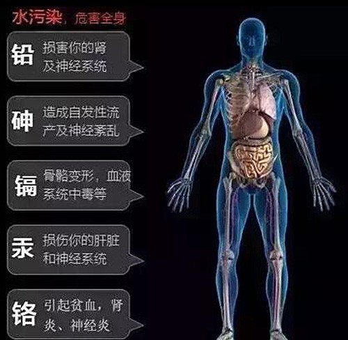 水污染對人體健康的影響與危害！